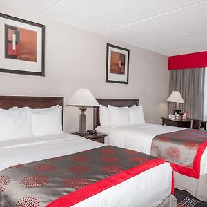 Double Room Two Double Beds Non-Smoking